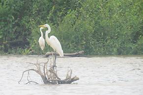 Alta Vista Amazon Lodge