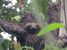 Alta Vista Amazon Lodge