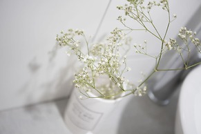 SingularStays Parque Central