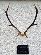 Armadale Castle Cabins