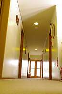 Forest Resort Cosmos