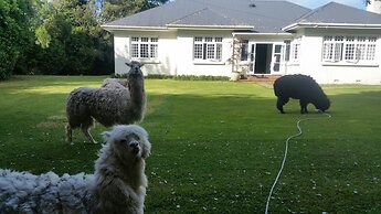 The Homestead B&B