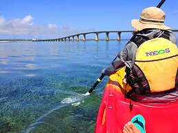 Hotel Hibiscus - Hostel