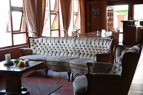 Dunedin Star Guesthouse