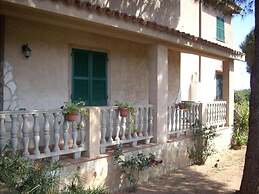 B&B Il Vigneto