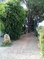 B&B Il Vigneto