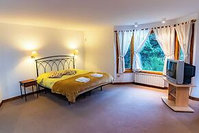 Amazing 4 Bedroom Chalet Villa Traful VT1 by Apartments Bariloche