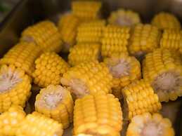 ibis Hangzhou West Lake Qingchun Rd