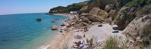 B&B Falcone