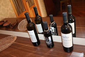 Guest House Vashlovani