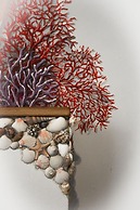 Racconti Di Mare - 5 Terre