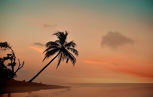 The Castaway Retreat