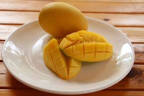 The Castaway Retreat