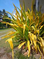 Hotel Star White Negombo