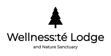 Wellnesste Lodge and Cabin Rentals