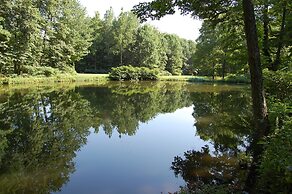 Wellnesste Lodge and Cabin Rentals