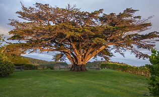 Waipoua Lodge