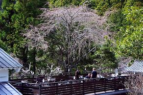 Shukubo Kakurinbo