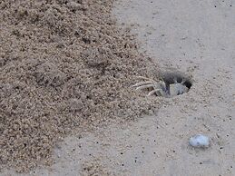 MJ Boutique Hotel Khao Lak