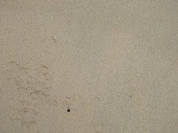 MJ Boutique Hotel Khao Lak