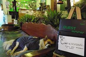 The Oasis Hostel - Adults Only