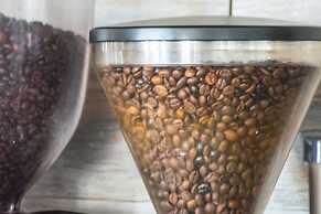 Camping Sierra de las Nieves