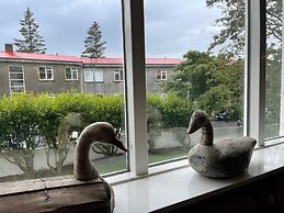 Embassy Apartments Downtown