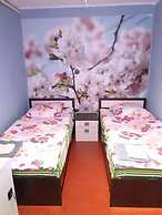 Guest House on Griboedovsky 27a - hostel