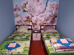 Guest House on Griboedovsky 27a - hostel