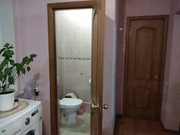 Guest House on Griboedovsky 27a - hostel