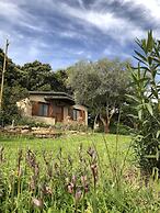 La Cerca Del Alcornoque