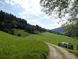 Bauernhof Lohningbauer