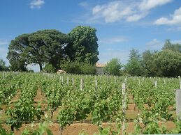 Domaine Mongiron