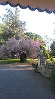 Domaine Mongiron