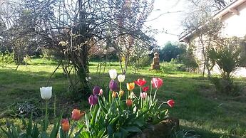 Domaine Mongiron