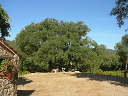 Agriturismo Poggio Macinaio