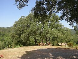 Agriturismo Poggio Macinaio