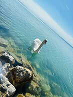 Világos Hotel Balatonvilágos