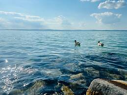 Világos Hotel Balatonvilágos