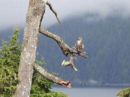 Eagle Reach - A West Coast Cottage