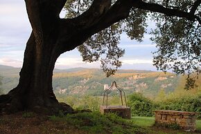 Tenuta di Spannocchia
