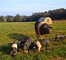 Tenuta di Spannocchia