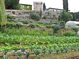 Tenuta di Spannocchia