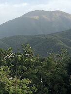 Scarlett Guesthouse Hotel Resorts