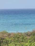 Scarlett Guesthouse Hotel Resorts