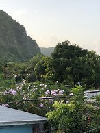 Scarlett Guesthouse Hotel Resorts