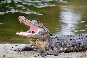 Home2 Suites by Hilton Orlando South Park