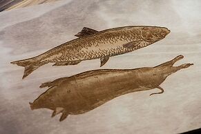 The Charter Hotel Seattle, Curio Collection by Hilton