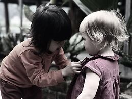 Phong Nha Coco House