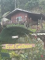 Forest Guesthouse